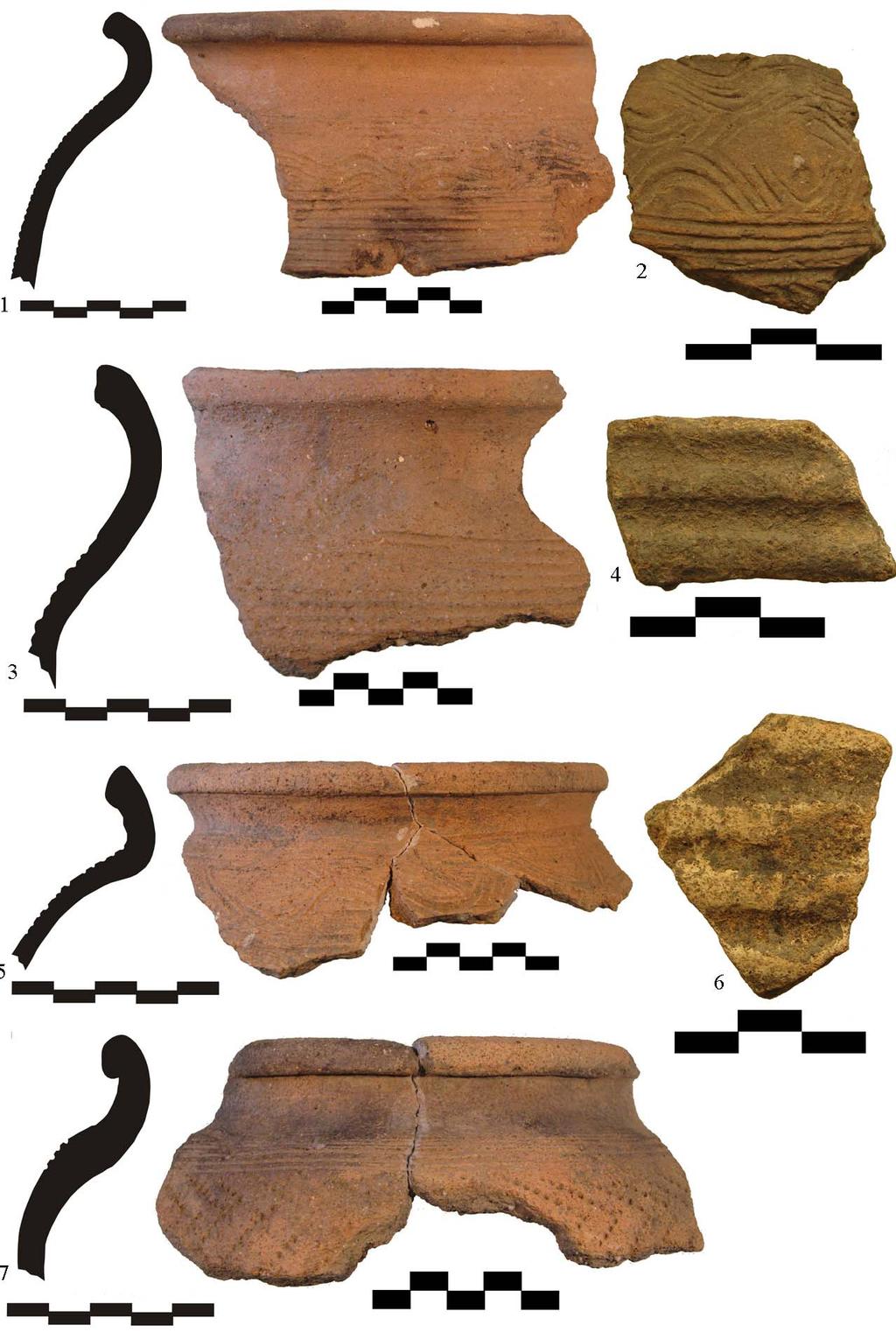 Cercetări arheologice privind secolele VIII - X la Târgşoru Vechi, jud. Prahova 239 Planşa V.