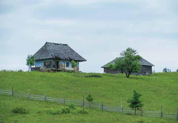 se ajunge ușor în Parcul Național Călimani, unde se poate vizita rezervația 12 Apostoli sau se poate urca pe vârful Oușoru din Munții Suhard (1.639 m), de unde se vede toată depresiunea Dornelor.