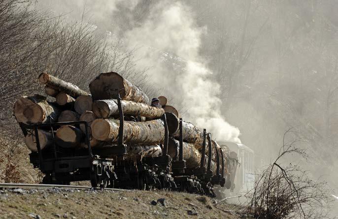 56 Imaginea 9: Transportul lemnului cu un tren cu abur în Maramureş, România (sursă: WWF) F9.