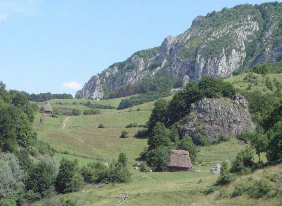 3. Pajiști din munții Carpați