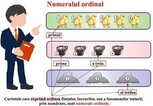 Numeralele ordinale exprimă ordinea numerică sau locul pe care îl ocupă obiectele sau acțiunile într-o înșirare.