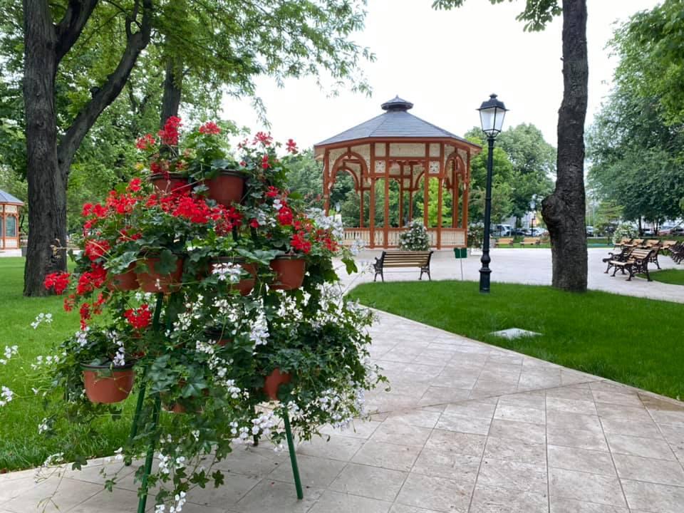 Timiș cu centrul Parcului; Suprafață zonă skateri și roleri pe latura N-V; Realizarea unui spațiu destinat iubitorilor de câini; Fântână arteziană îngrădită de un labirint verde în centrul parcului,
