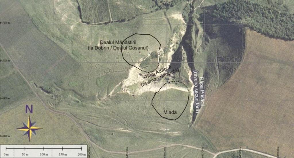 Partea de ESE a stațiunii se distruge prin alunecări de teren (Chirica, Tanasachi, Repertoriul Arheologic al jud. Iași, vol I, pag. 107, 1984).