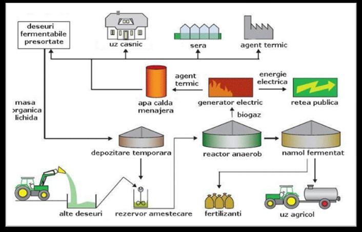 fermentarea etanolului), Procese fizico-chimice (esterificarea producerea de biodiesel).