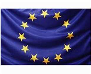 Dreptul de a alege și de a fi ales în Parlamentul European Tratatul privind Uniunea Europeană(TUE) Art.