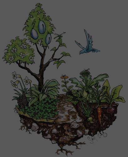 Pentru menţinerea biodiversităţii se pot lua următoarele măsuri la îndemâna oricui: o Dacă ai o grădină poţi construi o casă pentru păsări, poţi planta flori sau poţi face un mic