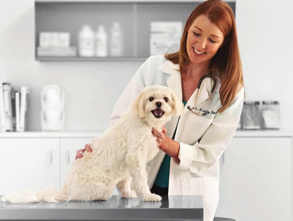 Castrarea/sterilizarea Castrarea este un termen generic care se referă la sterilizarea câinilor femele sau masculi.