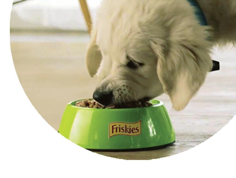 Unde, când şi cum să îl hrăneşti Întotdeauna verifică ambalajul produsului pentru a cunoaşte care sunt cantităţile de hrană recomandate în funcţie de vârsta şi greutatea câinelui.