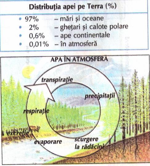 Circuitul apei Rezervele de apă ale Terrei se mențin constante datorită circuitului permanent al apei în natură, în care pădurile au un rol important.