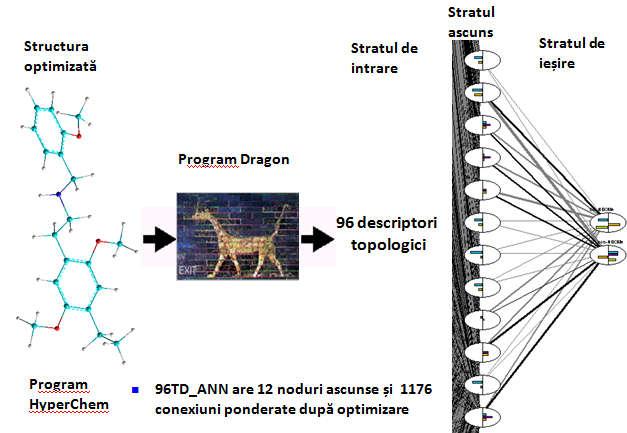 Figura 5.2 Dezvoltarea rețelei neuronale artificiale 96TD-ANN.