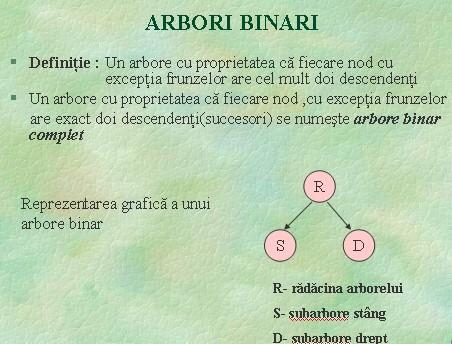 Notiunea de arbore binar Arbori binari Programatorii folosesc de multe ori prin abuz de limbaj, termenul de arbore, in loc de arborescenta.