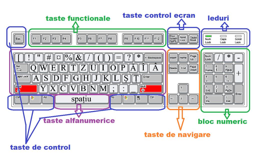 Majoritatea tastaturilor au între 80 şi 110 taste, grupate în mai multe blocuri de taste: Blocul tastelor alfanumerice conţine caractere alfabetice, semne de punctuaţie, caractere numerice şi