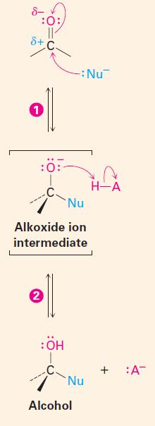 Reactantul nucleofil :Nu atacă atomul de carbon electrofil (cu sarcină parțială pozitivă) și produce deplasarea perechii de electroni π din legătura dublă C=O către oxigen, cu formarea unui