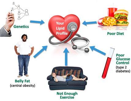 Cantitate ridicata de lipide Cancer Boli de inima Diabet Obezitate Presiune mare a
