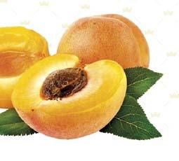 apricots, sugar and