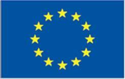 UNIUNEA EUROPEANA PACHETUL DE PROIECTE ECOPELLET Polul naţional de competitivitate în promovarea sistemelor moderne de fabricaţie