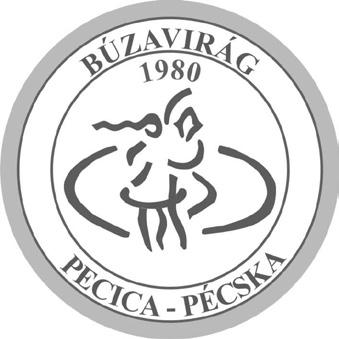 427 Viaţa culturală maghiară din Pecica Dacă până în anii 1970 a funcţionat o trupă de teatru maghiar amator local, din 1980 a dispărut.