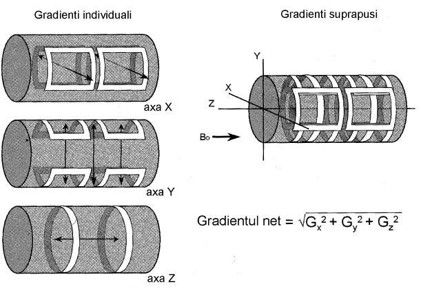 Uniformitatea campului magnetic Unifomitatea campului <-> constanta gradientului; Variatia inductiei magnetice dupa fiecare directie trebuie sa fie strict liniara Reglarea gradientilor = problema