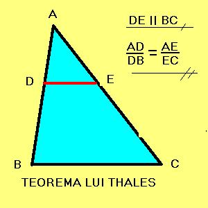 Teoremă : O paralelă la una din laturile unui triunghi determină pe celelalte două laturi segmente proporţionale.