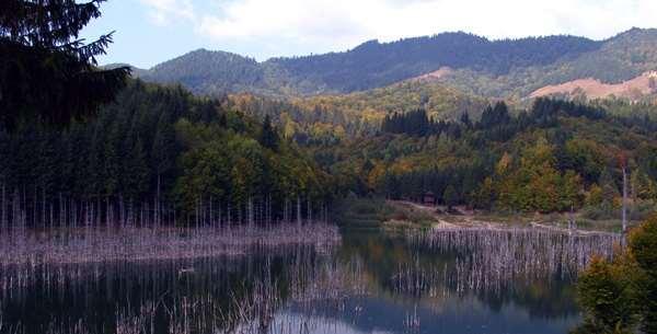 Alte rezervaţii, uşor accesibile şi situate în jurul municipiului Piatra-Neamț, sunt lacurile Cuejdel, Vaduri şi Pângăraţi.