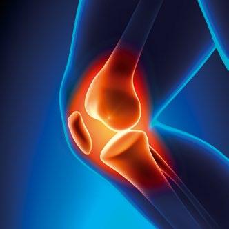 Greutatea în exces afectează mai mult genunchiul decât șoldul Genunchiul este cea mai mare articulație și este supus unei sarcini imense.