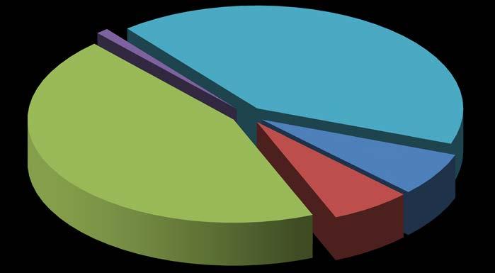 Structura veniturilor CNTEE Transelectrica - 218 - TL consum propriu prod 1.% TL pt clienti alim. concurential, exceptie clienti alim. de FUI 41.4% TL furnizori de ultima instanta* 44.