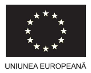Reguli Generale Steagul Uniunii Europene va fi
