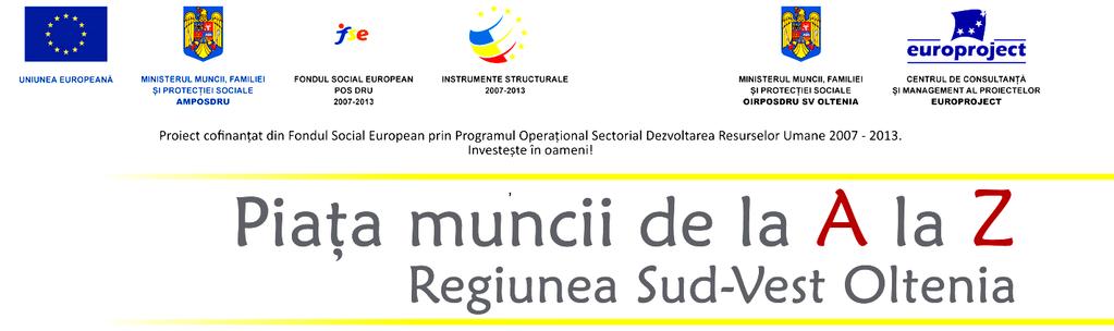PREZENTARE CCMP EUROPROJECT SLATINA Asociaţia Centrul de Consultanţă şi Management al Proiectelor EUROPROJECT din Slatina, prin serviciile de informare şi consiliere profesională, asistenţă, mediere