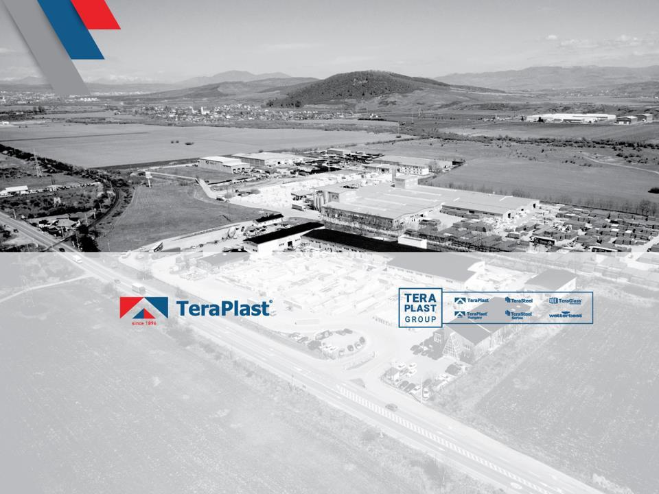 Actualul material are caracter informativ şi îşi propune să prezinte într-un mod obiectiv compania TeraPlast SA.