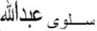 L 132/8 20.5.2019 225. Maamoun (alias Ma'moun) Hamdan Data nașterii: 1958; Ministrul finanțelor. 226.