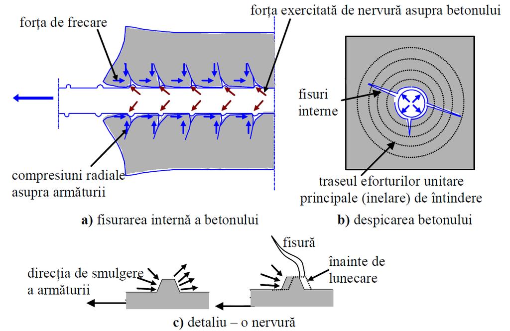 Modelul de aderență dintre beton și armătură cu profil