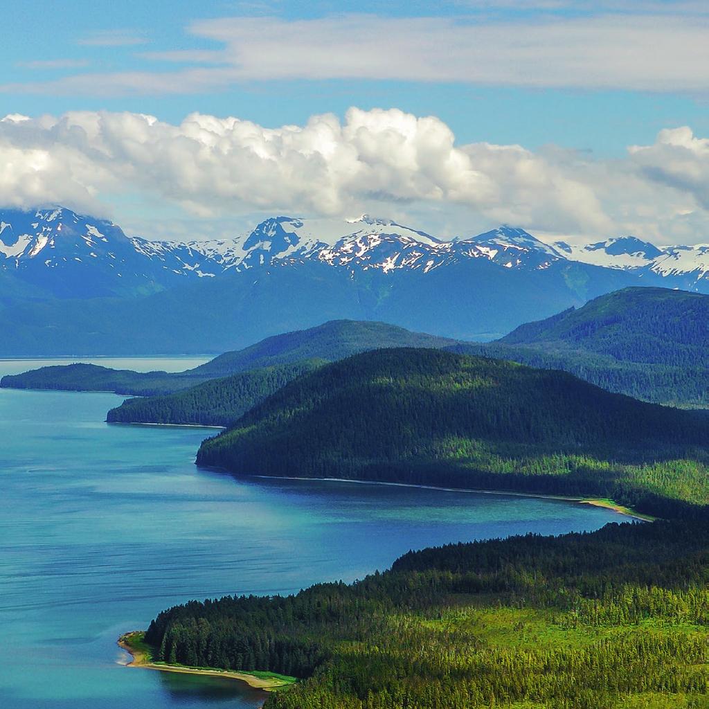 Alaska Apele reci și pure din Alaska reprezintă un mediu de viață natural și sănătos pentru cinci tipuri de somon sălbatic de Alaska.