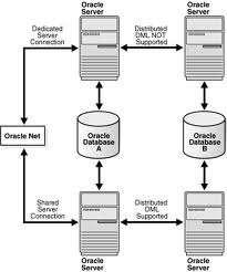 1.1.Sisteme de baze de date SGBD-ul utilizează o mulţime complexă de componente software pentru a-şi îndeplini funcţiile sale.