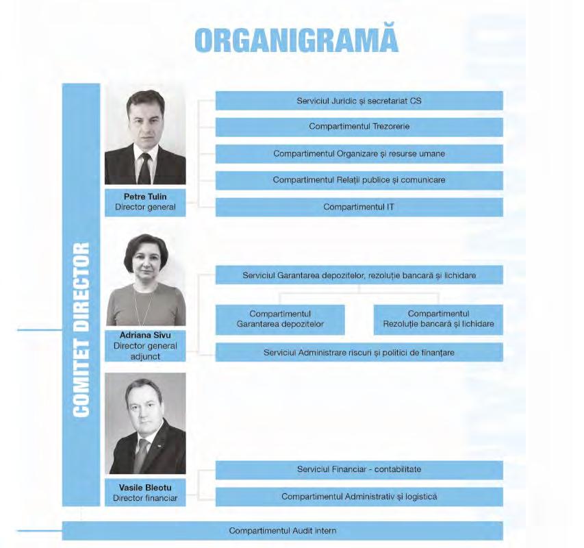 Notă: Structura CS și organigrama au fost editate în In-Design, pe formatul tipărit al