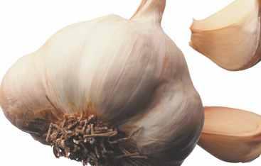 Suplimente alimentare Forever Garlic-Thyme Utilizarea usturoiului şi a cimbrului în alimentaţie datează de mii de ani. Un papirus din Egiptul Antic (1.500 î.hr.