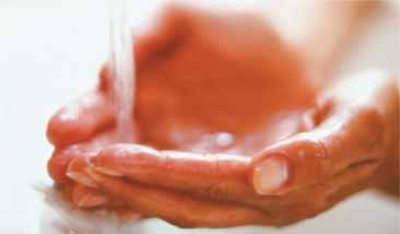 Îngrijire personală [i igien' Aloe Hand & Face Soap Aloe Hand & Face Soap, săpun lichid hidratant cu Aloe vera, dens, perlat-iridiscent, pentru igiena mâinilor şi a feţei.