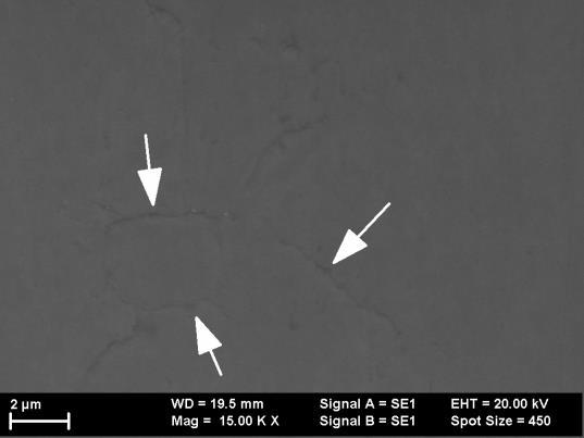 Figura 35. Imagine SEM de electroni secundari pentru proba cu W cu 2% SiC. Sagetile indica pozitia dispersiilor la granite de graunti.