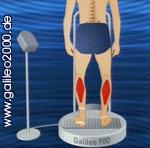 Postura/Tinuta corporala dirijeaza grupele musculare antrenate