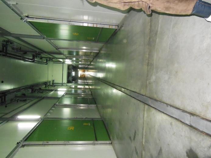 000 tone, în 77 de camere frigorifice cu o capacitate cuprinsă între 80 de tone și 280 de