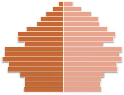 Figură 5-2 Piramida vârstelor în judeţul Bihor Grupa de vârstă 85 ani şi peste 80-84 ani 75-79 ani 70-74 ani 65-69 ani 60-64 ani 55-59 ani 50-54 ani 45-49 ani 40-44 ani 35-39 ani 30-34 ani 25-29 ani