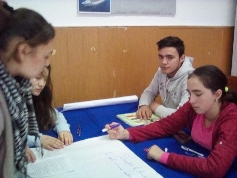 JUDEŢUL VASLUI În județul Vaslui, au fost implicate un număr de 11 unități de învățământ preuniversitar,