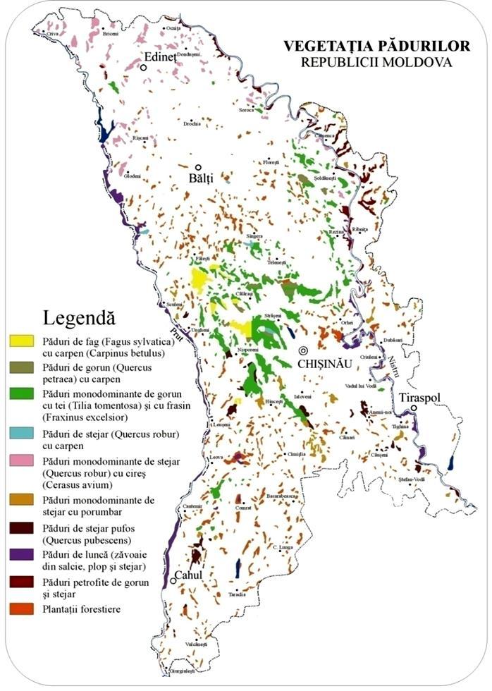 Resursele forestiere ale Republicii Moldova 1.