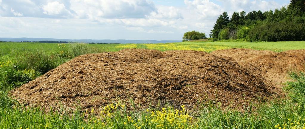 7 Cum poate ﬁ îmbunătățit solul prin compost? Utilizarea compostului în grădină îmbunătățește structura și rata de reținere a umidității solului.