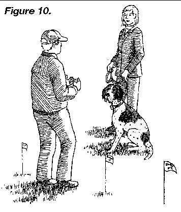 NIVELUL 2 (2-5 zile) Introducere la exercińiile de corecńie 1. PuneŃi zgarda cu receptorul DogWatch pe câine cu cel puńin 20 de minute înainte să ieşińi la dresaj. 2. FixaŃi lesa verde DogWatch de aceasta, duceńi câinele afară şi jucańi-vă cu el în zona de siguranńă.