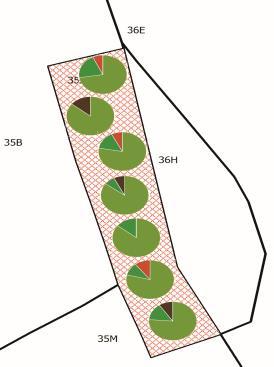 La inventarierea culturilor silvice din anul 2016 la 1 ha s-au înregistrat puieți de: gorun - 5250 (0,40-1,10 m) și stejar 16490 (0,50-1,40 m).