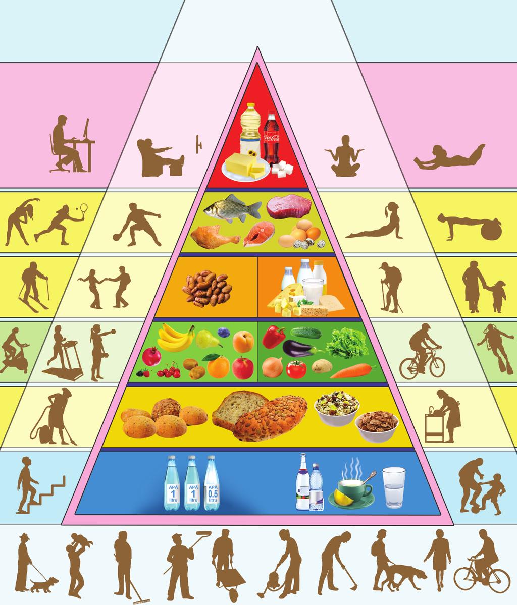 Proiect Viață Sănătoasă Reducerea poverii bolilor netransmisibile Cum folosim informația din piramida alimentară?