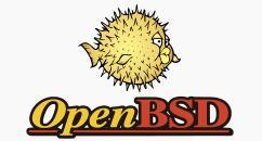 4. OpenBSD OpenBSD pune accent pe securitate şi corectitudine, dar şi pe posibilitatea de a fi o soluţie gratuită. OpenBSD s-a dezvoltat plecând de la soluţiile oferite de NetBSD.