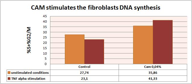 In conditii pro-inflamatorii mimate prin stimularea cu TNFα, cand rata de proliferare este in declin, uleiul de camelina amplifica progresia mitotica, marind rata de diviziune celulara, ceea ce
