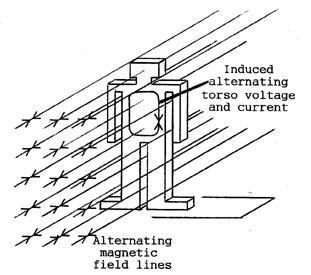 Masurarea campului electromagnetic -Camp cu o singura frecventa sau o singura componenta semnificativa: mijloc
