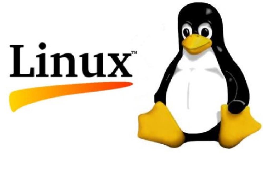 UNIX/LINUX este un sistem multiutilizator şi multitasking.